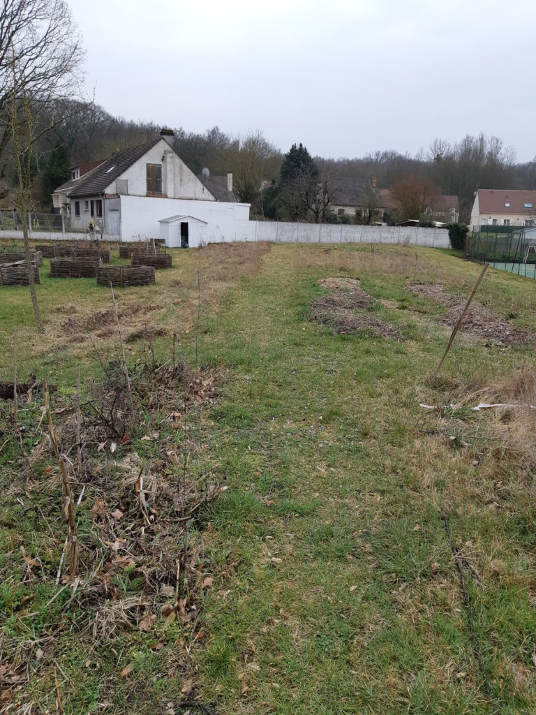 plantation arbres comestibles Coye en Transition plantation arbres comestibles Coye en Transition